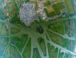 Elks Run in Dafeng Elk National Nature Reserve in Yancheng
