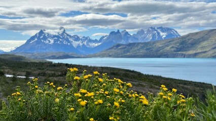alpine meadow and lake in Patagonia