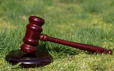 Judge's gavel on the grass on a sunny day