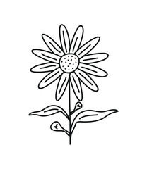 Flower nature ornate