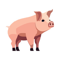 flat pig image