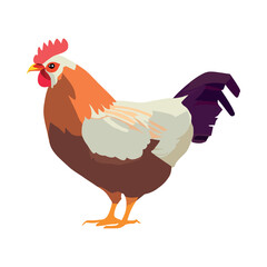 flat rooster illustration