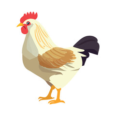 flat chicken design