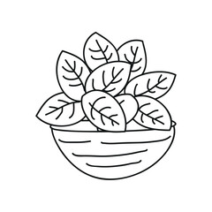 Vector illustration of botany plant growth
