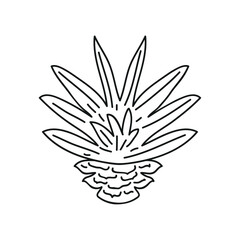 botanical nature plant