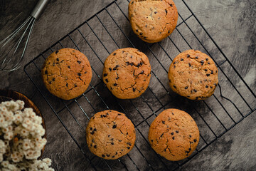 Homemade chocolate chip cookies on black baking cooling tray and abstract background
