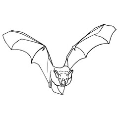 bat flying line vector illustration