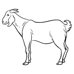 goat sketch vector illustration