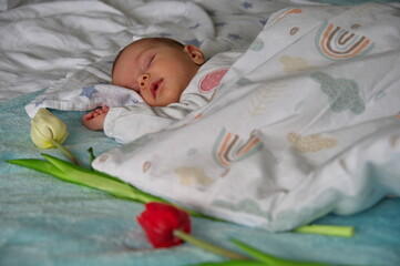 Portrait of cute newborn baby sleeping in bed with tulips around her