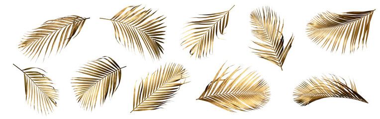 Golden palm leaf PNG on transparent background Abstract monstera leaf decoration design, PNG