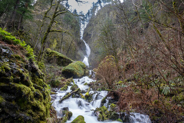 waterfall in the forest