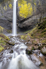 waterfall in the forest