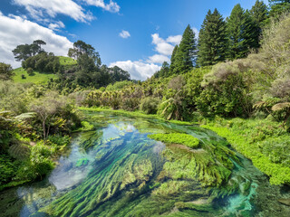 Blue Spring, Waikato, New Zealand
