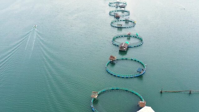 Fisheries on Luzon Island, Philippines. Fish farm, top view. Aerial view of fish ponds for bangus, milkfish.