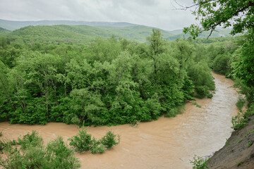 Fototapeta na wymiar mountain river after rain flows in a forest area