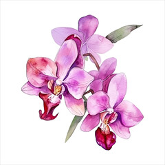 Orchid flower isolated in white background. watercolor vector for wedding invitation, printing, sublimation, mug, tshirt, tumbler