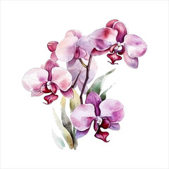 Orchid flower isolated in white background. watercolor vector for wedding invitation, printing, sublimation, mug, tshirt, tumbler
