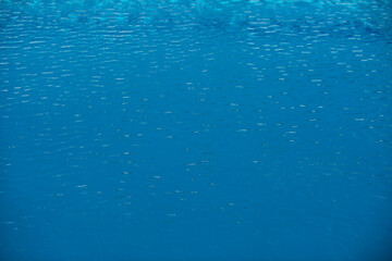 Pool water background, blue wave abstract or rippled water texture background.