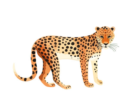 Cheetah animal. Big cat, wild spotted leopard 