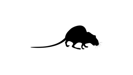 rat silhouette