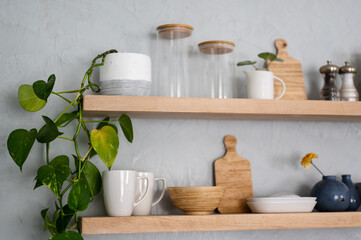 Fototapeta na wymiar Potted plant and kitchen crockery on modern wood shelf on plaster wall