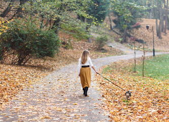 young woman is walking a beagle dog in an autumn park