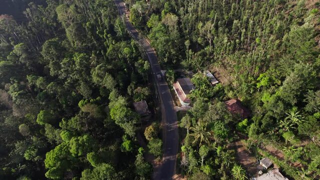 Aerial top-down drone shot above the winding mountain road between the trees near Coorg, Karnataka, India. Overcast late summer weather A vehicle driving through the curve 4K.