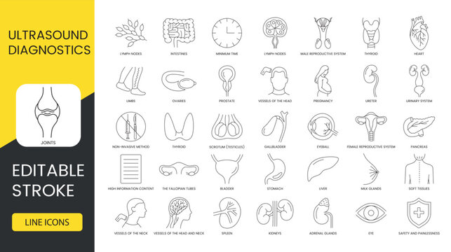 Ultrasound diagnostics line icons set in vector, kidneys and eye, ureter and pharynx, female reproductive system and adrenal glands, intestines and thyroid, larynx and lymph nodes. Editable stroke.