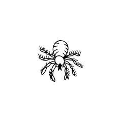 vector illustration of tarantula spider