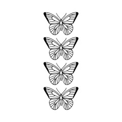 Obraz na płótnie Canvas vector illustration of four butterflies