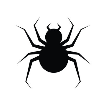 Spider icon design. isolated on white background. vector illustration