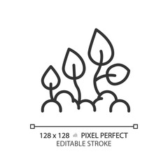 Plant development linear icon. Seed germination. Crop management. Seedling growth stages. Life cycle. Thin line illustration. Contour symbol. Vector outline drawing. Editable stroke