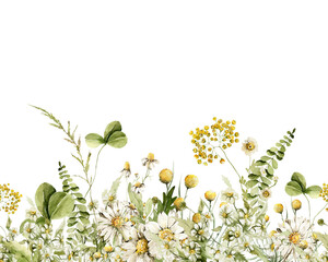 Watercolor floral seamless border. Hand painted frame of green leaves, wildflowers, field flowers, chamomile, daisy isolated on white background. Iillustration for design, print, background