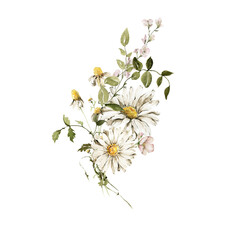 Watercolor floral seamless bouquet. Hand painted set of green leaves, wildflowers, field flowers, chamomile, daisy isolated on white background. Iillustration for design, print, background