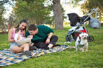 Obraz premium young couple picnicking in the park with their young son and dog