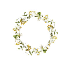 Watercolor floral wreath. Hand painted set of green leaves, wildflowers, field flowers, chamomile, daisy isolated on white background. Iillustration for design, print, background
