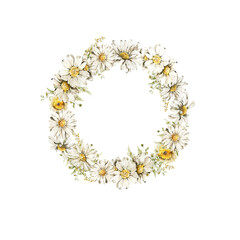 Watercolor floral wreath. Hand painted set of green leaves, wildflowers, field flowers, chamomile, daisy isolated on white background. Iillustration for design, print, background