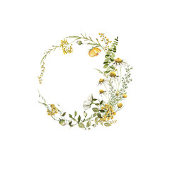 Watercolor floral wreath. Hand painted set of green leaves, wildflowers, field flowers, chamomile, daisy isolated on white background. Iillustration for design, print, background