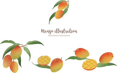 マンゴーの水彩イラスト・横レイアウト
