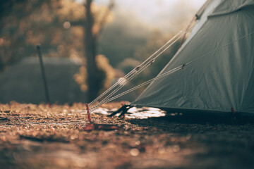Gray tent on the grass in the forest The view behind is the mountain in the morning. Camping,...