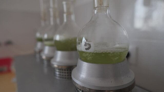 chemical test tube of olive oil, experiment with green liquid
