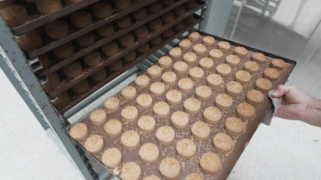 baking a Spanish dessert, artisan food made in a workshop