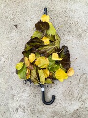 umbrella with fall autumn leaves idea concept - 591393208