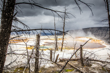 Mammoth hot springs in Yellowstone national Park