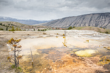 Mammoth hot springs in Yellowstone national Park