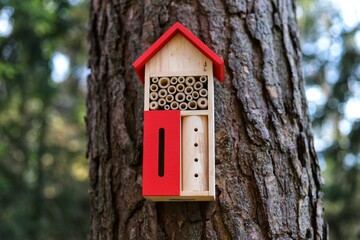 Decorative Insect house with compartments and natural components.