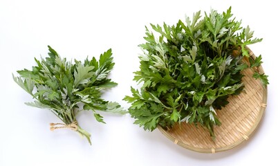 フレッシュなヨモギ、テーブルに載せた蓬の葉、よもぎ、モチグサ、餅草