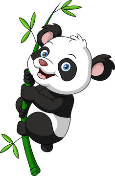 Cute baby panda cartoon hanging on the bamboo