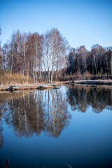 spring landscape with a lake and reflection of trees in the water on a sunny day