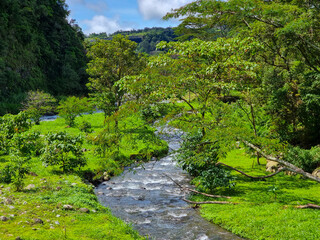 Fototapeta na wymiar Panama, Boquete town, Caldera creek. Jungle landscape